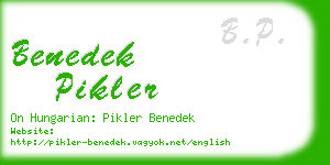 benedek pikler business card